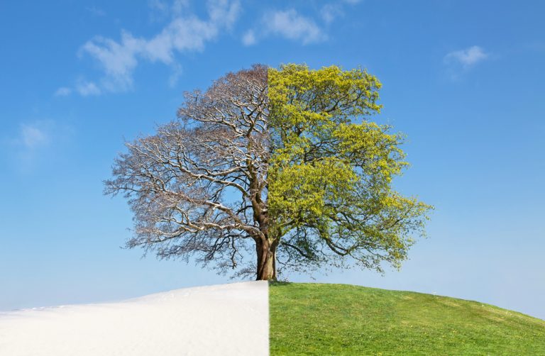 Radon Testing in Winter vs Summer: What Changes and What to Expect